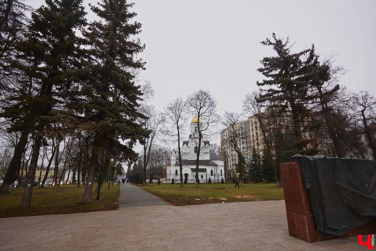 Всего за один год улицы, парки и скверы города заметно оголились. Из-за прожорливого вредителя Владимир лишился более тысячи насаждений, и это, увы, не предел. Зоны поражения есть в каждом районе областного центра. Впрочем, исчезают деревья в пугающих объемах и по вполне прозаическим причинам.