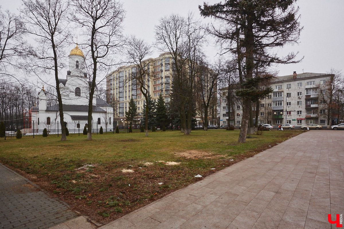 Всего за один год улицы, парки и скверы города заметно оголились. Из-за прожорливого вредителя Владимир лишился более тысячи насаждений, и это, увы, не предел. Зоны поражения есть в каждом районе областного центра. Впрочем, исчезают деревья в пугающих объемах и по вполне прозаическим причинам.