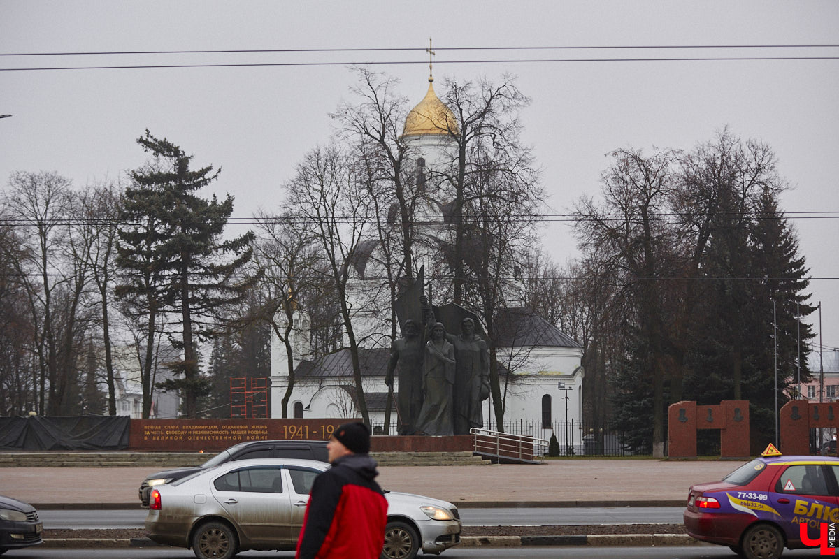 Всего за один год улицы, парки и скверы города заметно оголились. Из-за прожорливого вредителя Владимир лишился более тысячи насаждений, и это, увы, не предел. Зоны поражения есть в каждом районе областного центра. Впрочем, исчезают деревья в пугающих объемах и по вполне прозаическим причинам.