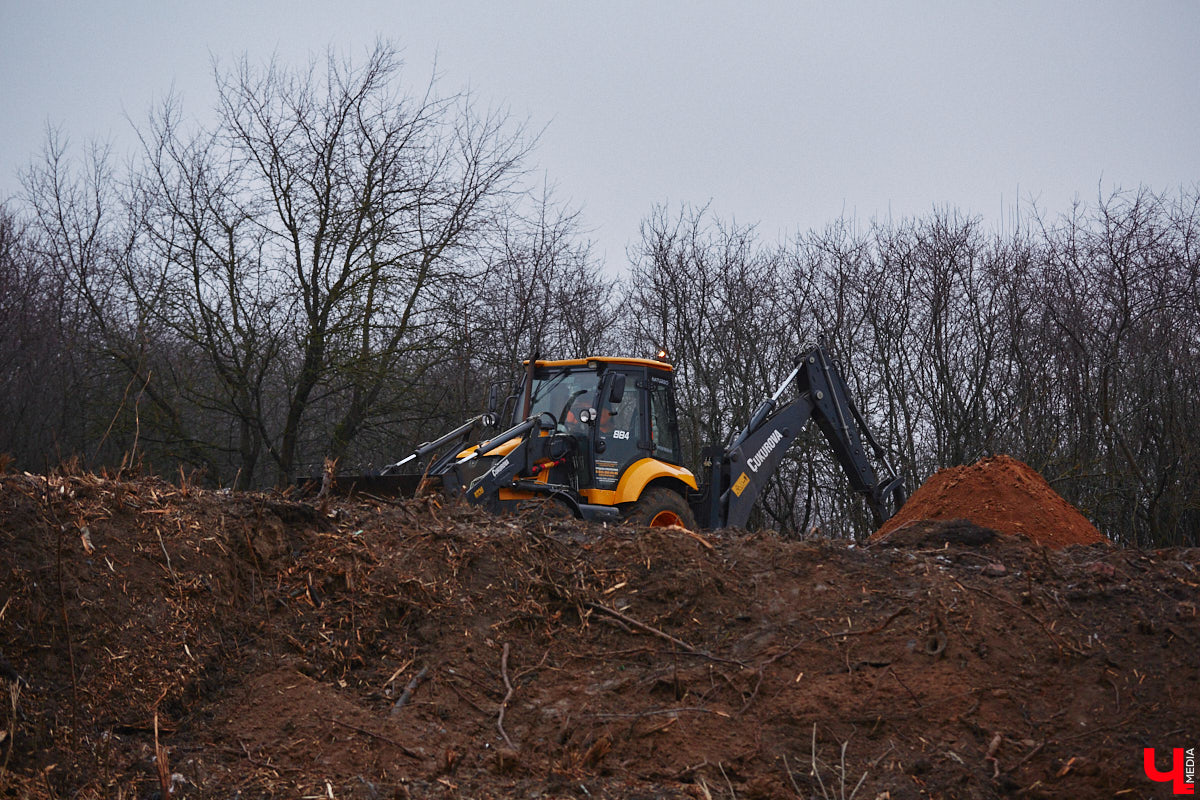 Всего за один год улицы, парки и скверы города заметно оголились. Из-за прожорливого вредителя Владимир лишился более тысячи насаждений, и это, увы, не предел. Зоны поражения есть в каждом районе областного центра. Впрочем, исчезают деревья в пугающих объемах и по вполне прозаическим причинам.