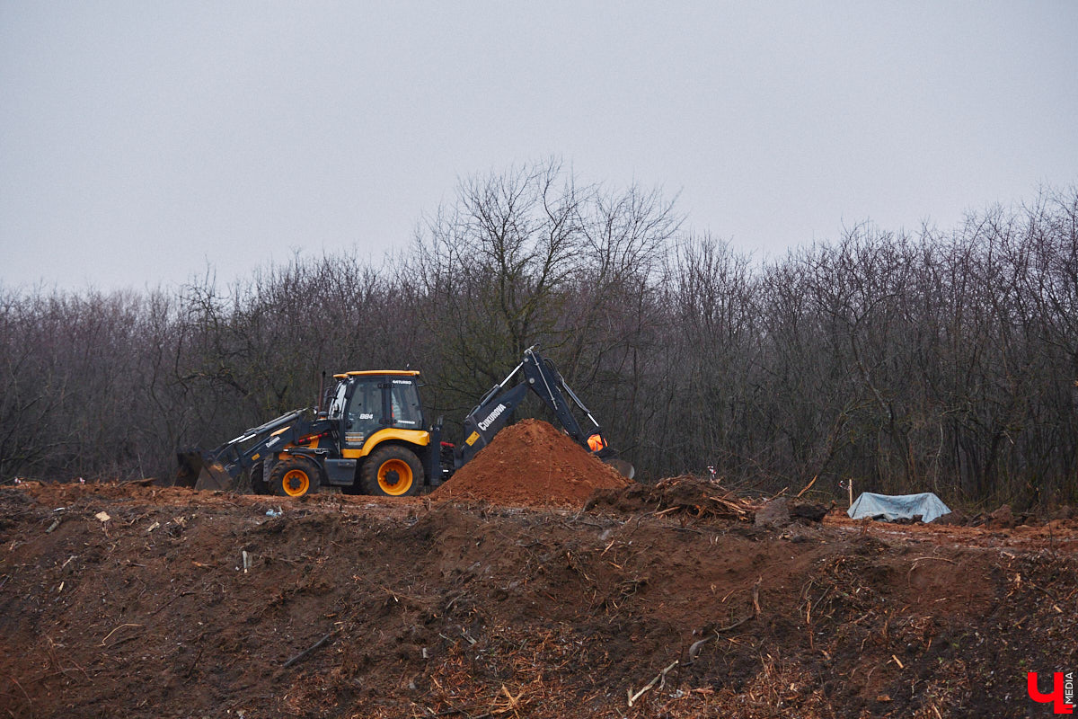 Всего за один год улицы, парки и скверы города заметно оголились. Из-за прожорливого вредителя Владимир лишился более тысячи насаждений, и это, увы, не предел. Зоны поражения есть в каждом районе областного центра. Впрочем, исчезают деревья в пугающих объемах и по вполне прозаическим причинам.