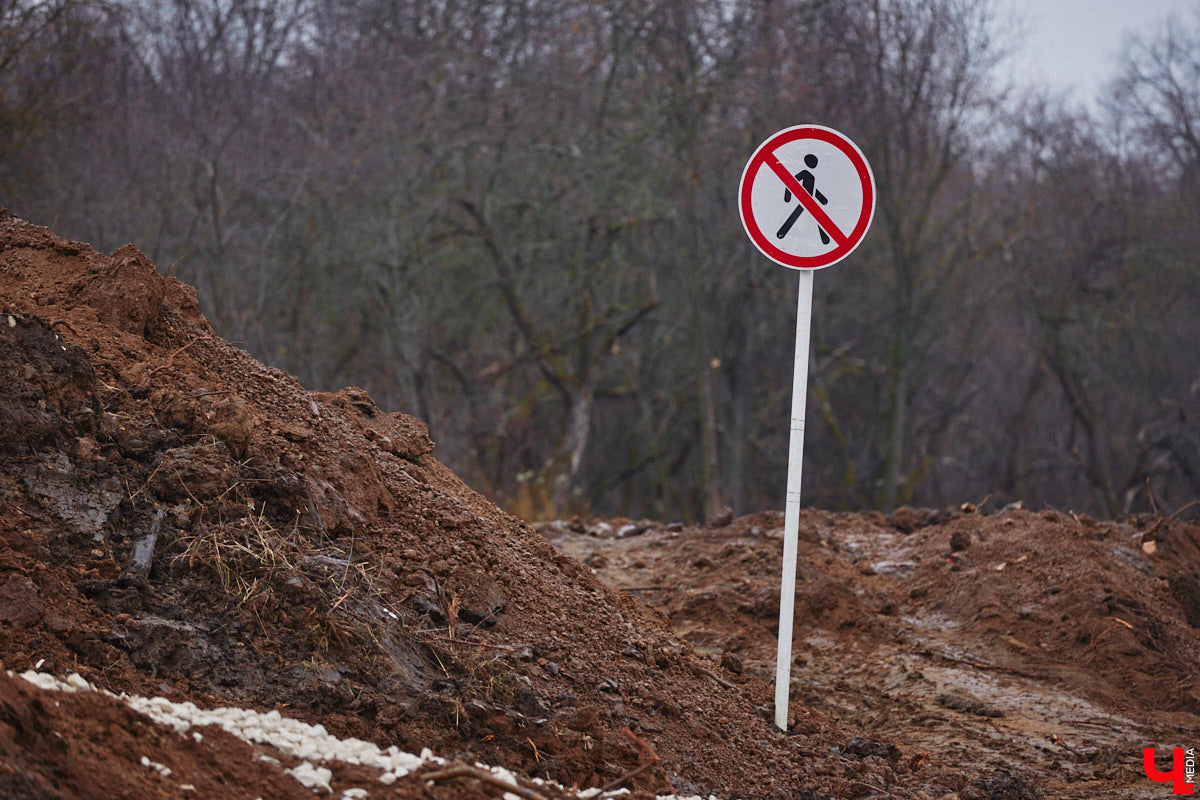 Всего за один год улицы, парки и скверы города заметно оголились. Из-за прожорливого вредителя Владимир лишился более тысячи насаждений, и это, увы, не предел. Зоны поражения есть в каждом районе областного центра. Впрочем, исчезают деревья в пугающих объемах и по вполне прозаическим причинам.