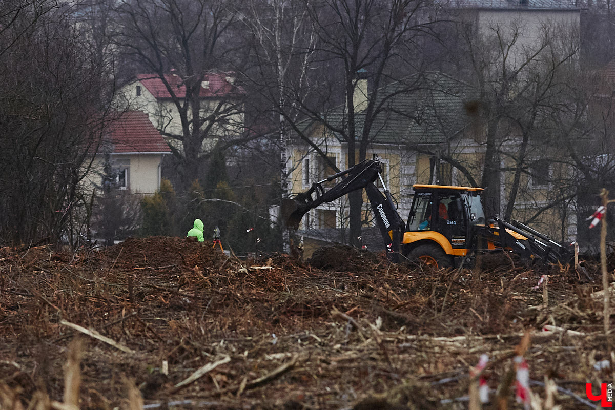 Всего за один год улицы, парки и скверы города заметно оголились. Из-за прожорливого вредителя Владимир лишился более тысячи насаждений, и это, увы, не предел. Зоны поражения есть в каждом районе областного центра. Впрочем, исчезают деревья в пугающих объемах и по вполне прозаическим причинам.