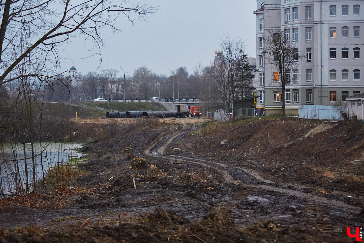 Всего за один год улицы, парки и скверы города заметно оголились. Из-за прожорливого вредителя Владимир лишился более тысячи насаждений, и это, увы, не предел. Зоны поражения есть в каждом районе областного центра. Впрочем, исчезают деревья в пугающих объемах и по вполне прозаическим причинам.