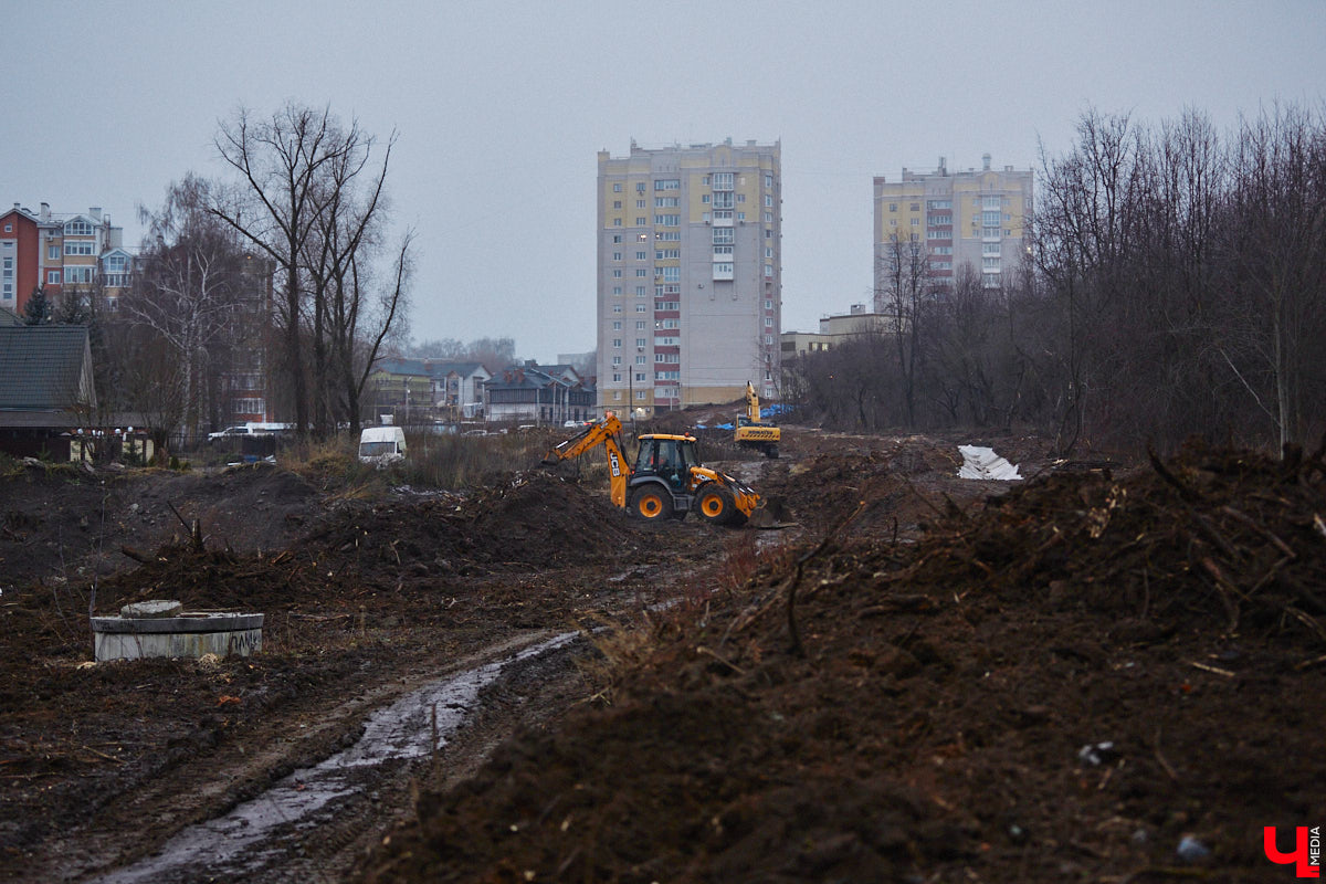 Всего за один год улицы, парки и скверы города заметно оголились. Из-за прожорливого вредителя Владимир лишился более тысячи насаждений, и это, увы, не предел. Зоны поражения есть в каждом районе областного центра. Впрочем, исчезают деревья в пугающих объемах и по вполне прозаическим причинам.
