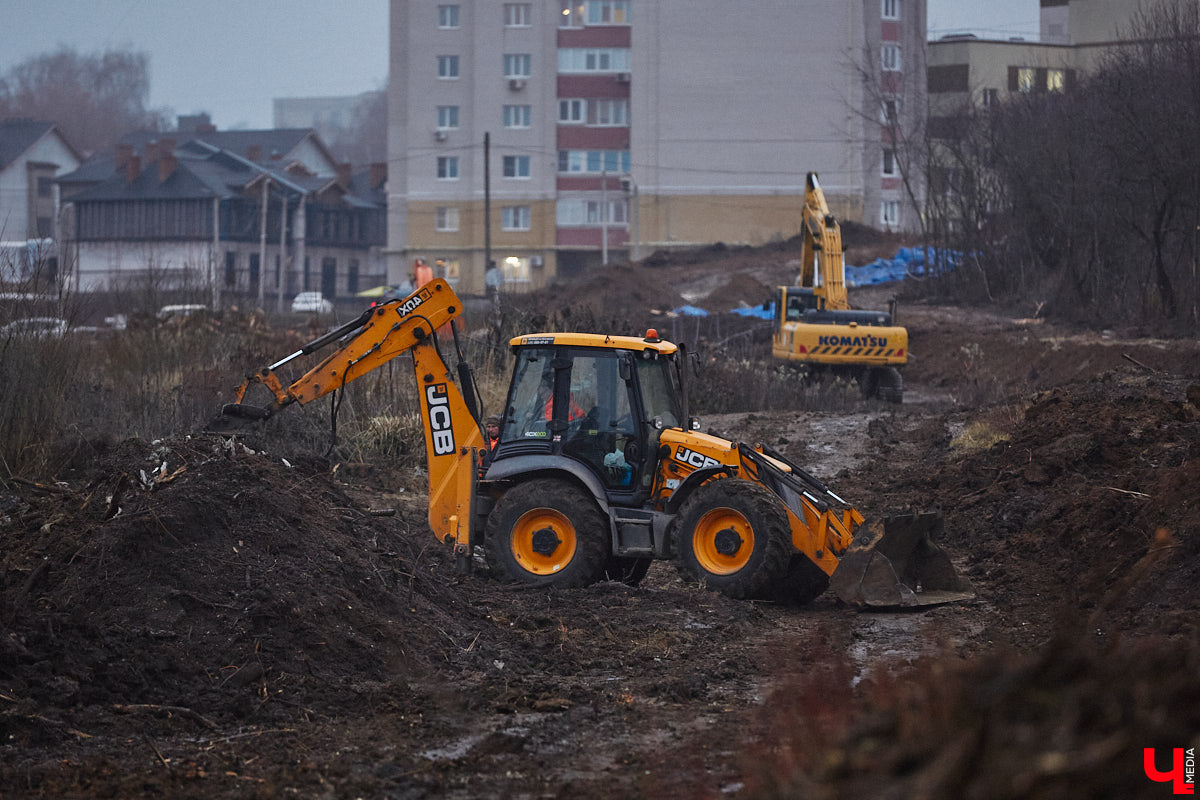 Всего за один год улицы, парки и скверы города заметно оголились. Из-за прожорливого вредителя Владимир лишился более тысячи насаждений, и это, увы, не предел. Зоны поражения есть в каждом районе областного центра. Впрочем, исчезают деревья в пугающих объемах и по вполне прозаическим причинам.