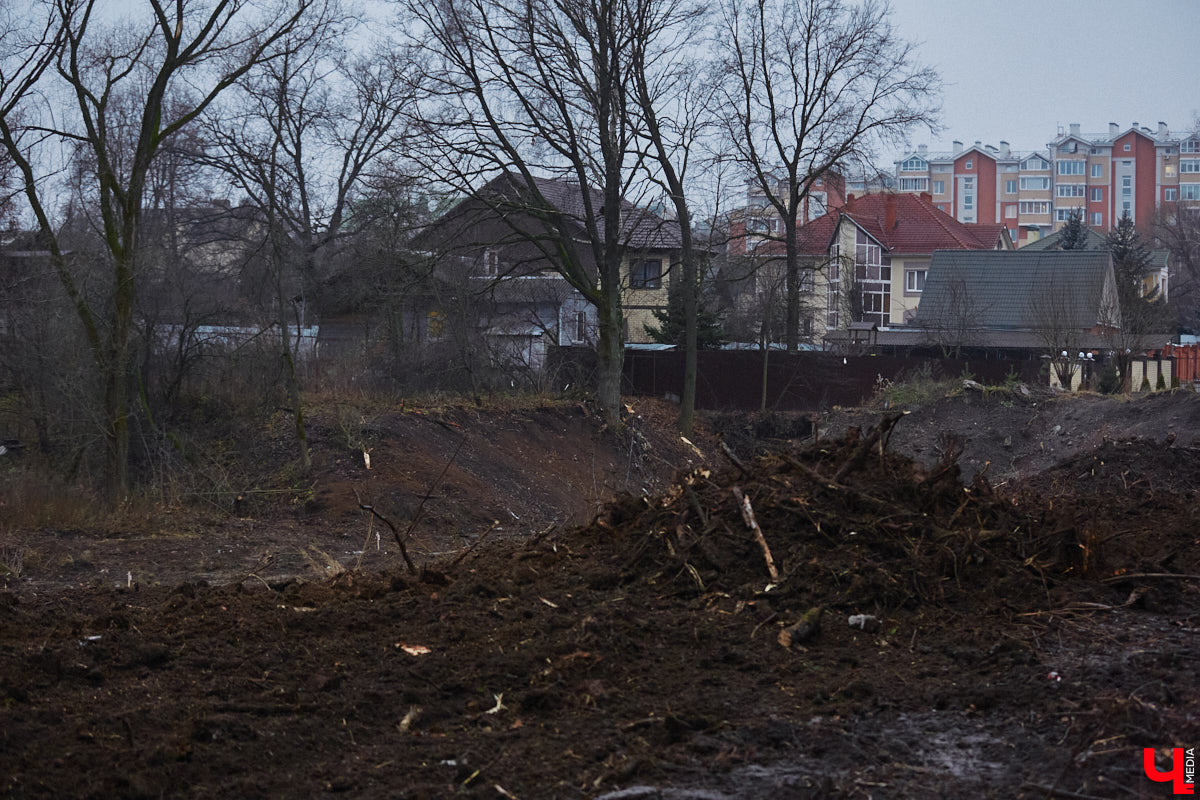 Всего за один год улицы, парки и скверы города заметно оголились. Из-за прожорливого вредителя Владимир лишился более тысячи насаждений, и это, увы, не предел. Зоны поражения есть в каждом районе областного центра. Впрочем, исчезают деревья в пугающих объемах и по вполне прозаическим причинам.