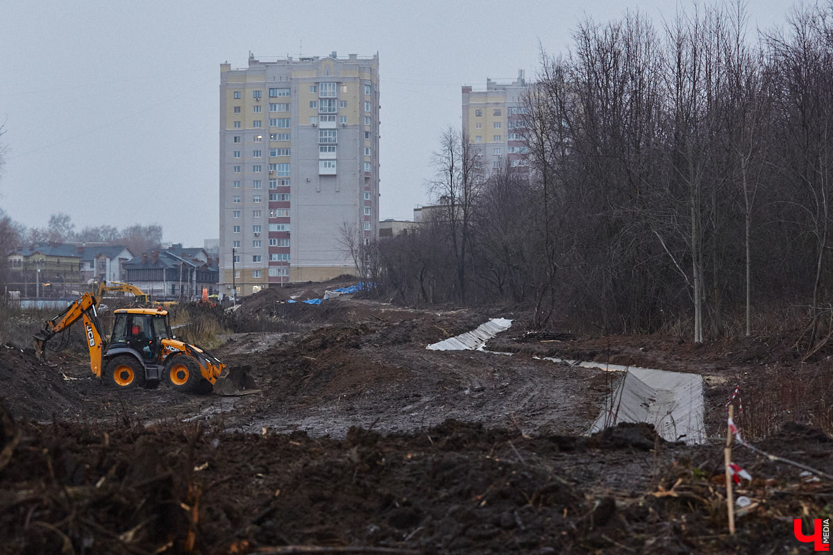 Всего за один год улицы, парки и скверы города заметно оголились. Из-за прожорливого вредителя Владимир лишился более тысячи насаждений, и это, увы, не предел. Зоны поражения есть в каждом районе областного центра. Впрочем, исчезают деревья в пугающих объемах и по вполне прозаическим причинам.