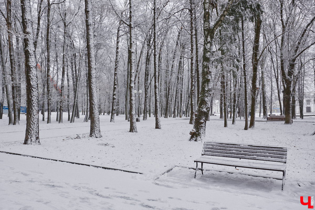 Всего за один год улицы, парки и скверы города заметно оголились. Из-за прожорливого вредителя Владимир лишился более тысячи насаждений, и это, увы, не предел. Зоны поражения есть в каждом районе областного центра. Впрочем, исчезают деревья в пугающих объемах и по вполне прозаическим причинам.