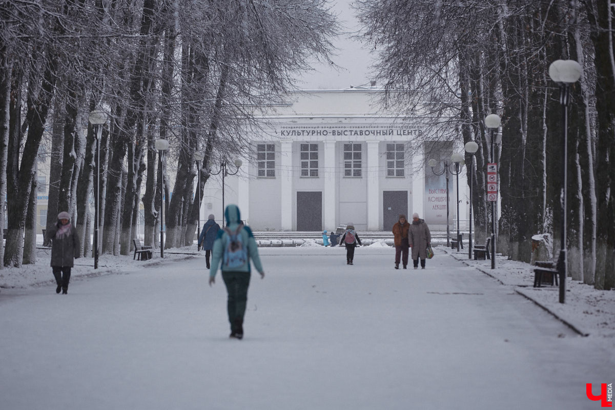 Всего за один год улицы, парки и скверы города заметно оголились. Из-за прожорливого вредителя Владимир лишился более тысячи насаждений, и это, увы, не предел. Зоны поражения есть в каждом районе областного центра. Впрочем, исчезают деревья в пугающих объемах и по вполне прозаическим причинам.