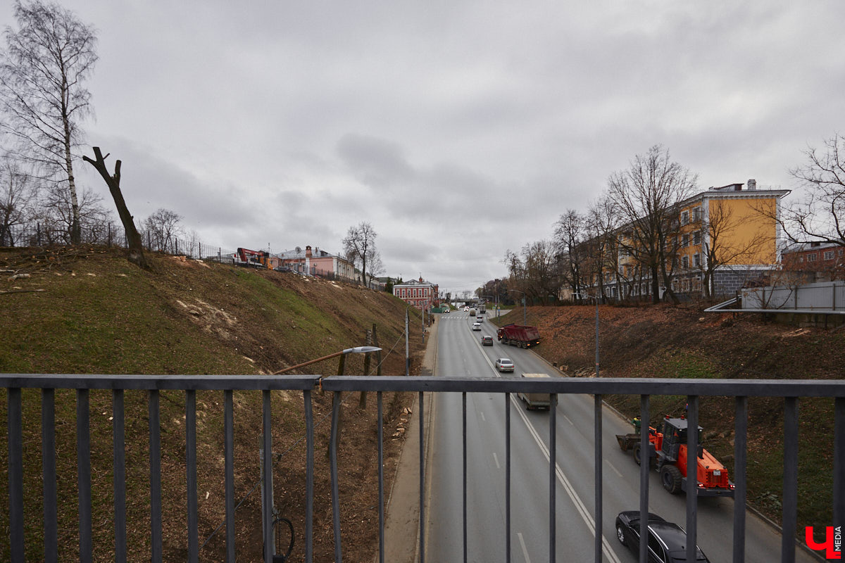 Всего за один год улицы, парки и скверы города заметно оголились. Из-за прожорливого вредителя Владимир лишился более тысячи насаждений, и это, увы, не предел. Зоны поражения есть в каждом районе областного центра. Впрочем, исчезают деревья в пугающих объемах и по вполне прозаическим причинам.
