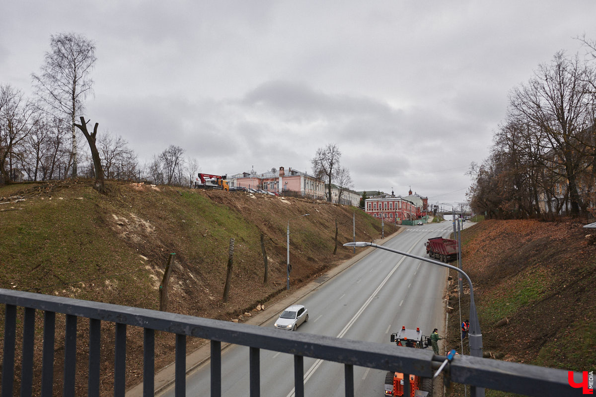 Всего за один год улицы, парки и скверы города заметно оголились. Из-за прожорливого вредителя Владимир лишился более тысячи насаждений, и это, увы, не предел. Зоны поражения есть в каждом районе областного центра. Впрочем, исчезают деревья в пугающих объемах и по вполне прозаическим причинам.