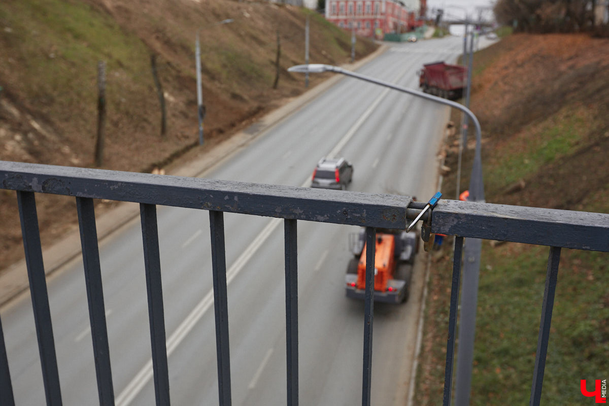 Всего за один год улицы, парки и скверы города заметно оголились. Из-за прожорливого вредителя Владимир лишился более тысячи насаждений, и это, увы, не предел. Зоны поражения есть в каждом районе областного центра. Впрочем, исчезают деревья в пугающих объемах и по вполне прозаическим причинам.