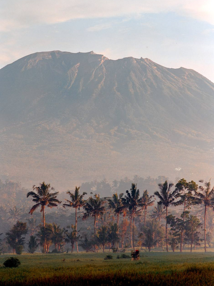 Их соединил серфинг. Анна Карасёва из Коврова познакомилась с будущим мужем в кэмпе на Бали. Сначала ребята вместе покоряли волны, а потом решили остаться жить на острове. Там у них родилась дочка, а еще появилась бизнес-идея, которую они успешно реализовали.