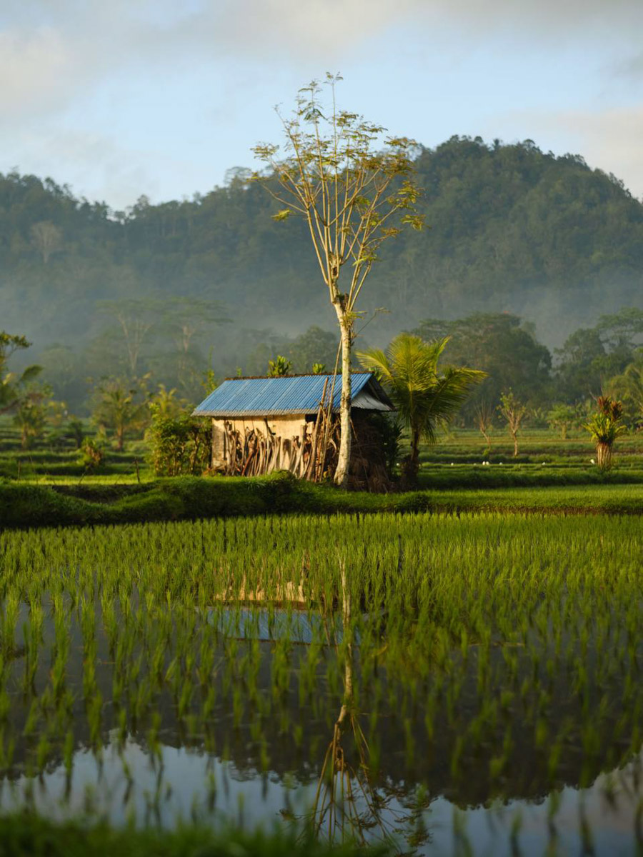 Их соединил серфинг. Анна Карасёва из Коврова познакомилась с будущим мужем в кэмпе на Бали. Сначала ребята вместе покоряли волны, а потом решили остаться жить на острове. Там у них родилась дочка, а еще появилась бизнес-идея, которую они успешно реализовали.
