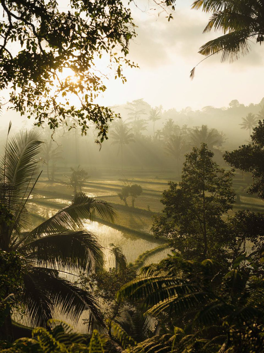 Их соединил серфинг. Анна Карасёва из Коврова познакомилась с будущим мужем в кэмпе на Бали. Сначала ребята вместе покоряли волны, а потом решили остаться жить на острове. Там у них родилась дочка, а еще появилась бизнес-идея, которую они успешно реализовали.