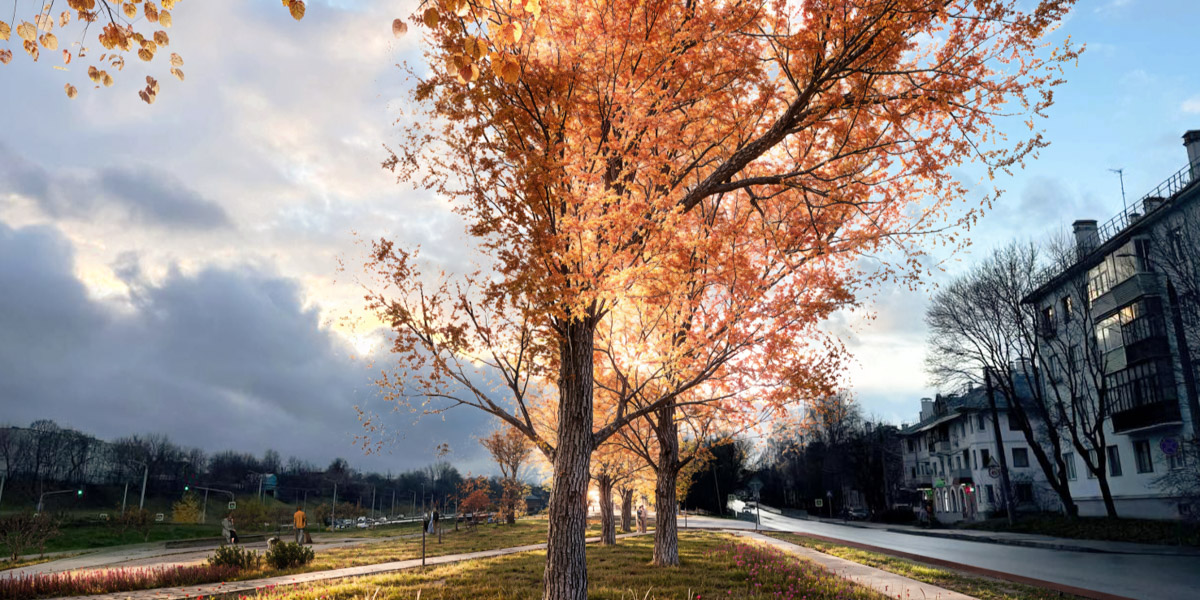 Пока Лыбедская магистраль — недружелюбная для пешеходов территория. Но эта ситуация скоро изменится. Там появится линейный парк с озеленением и точками притяжения, который должен замкнуть контур туристического маршрута по границам древнего города. С проектом благоустройства «Ключ-Медиа» познакомили его авторы.