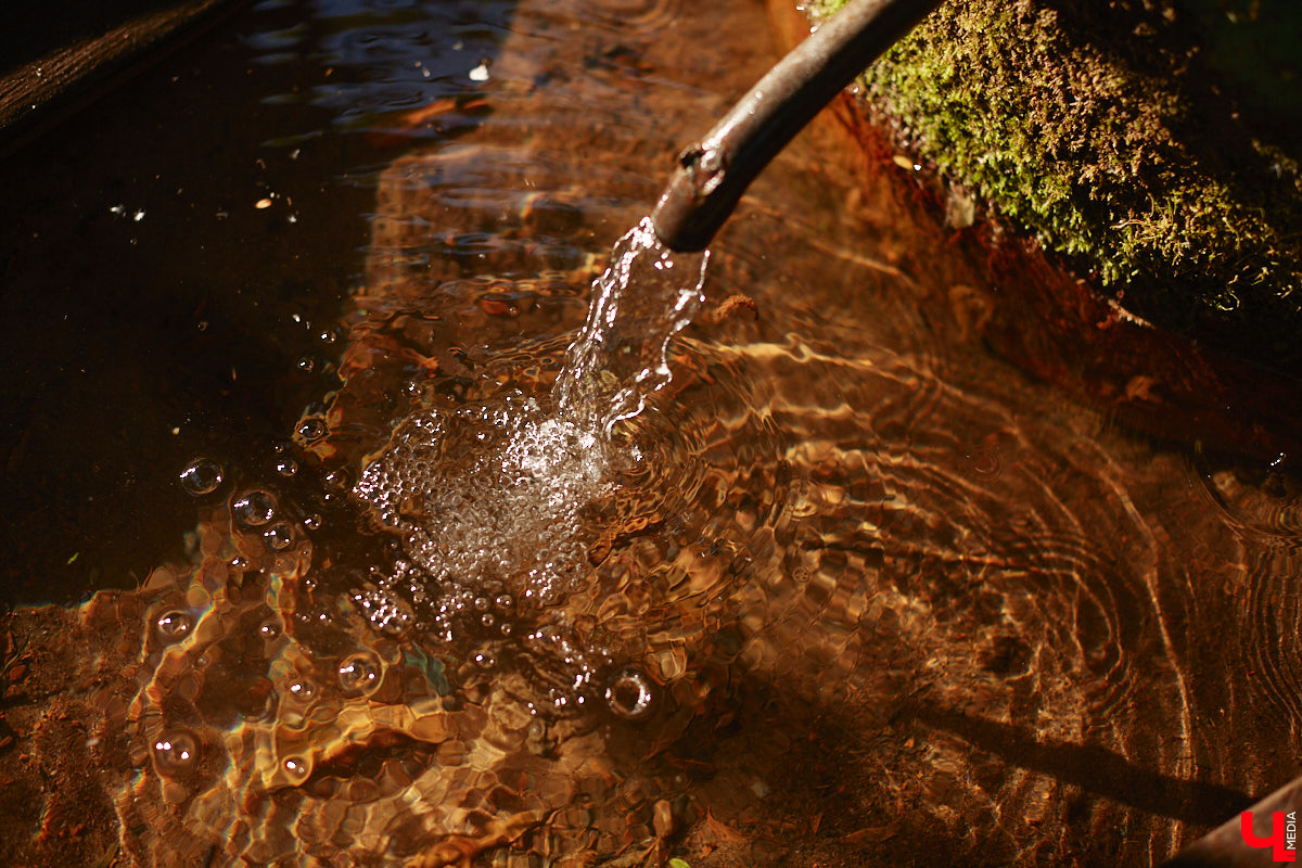Во Владимире проверили качество воды в основных родниках, расположенных в черте областного центра. Выяснилось, что отклонения по некоторым показателям все же имеются. А значит, перед употреблением стоит задуматься, испить ли свежей водицы или лучше не рисковать?