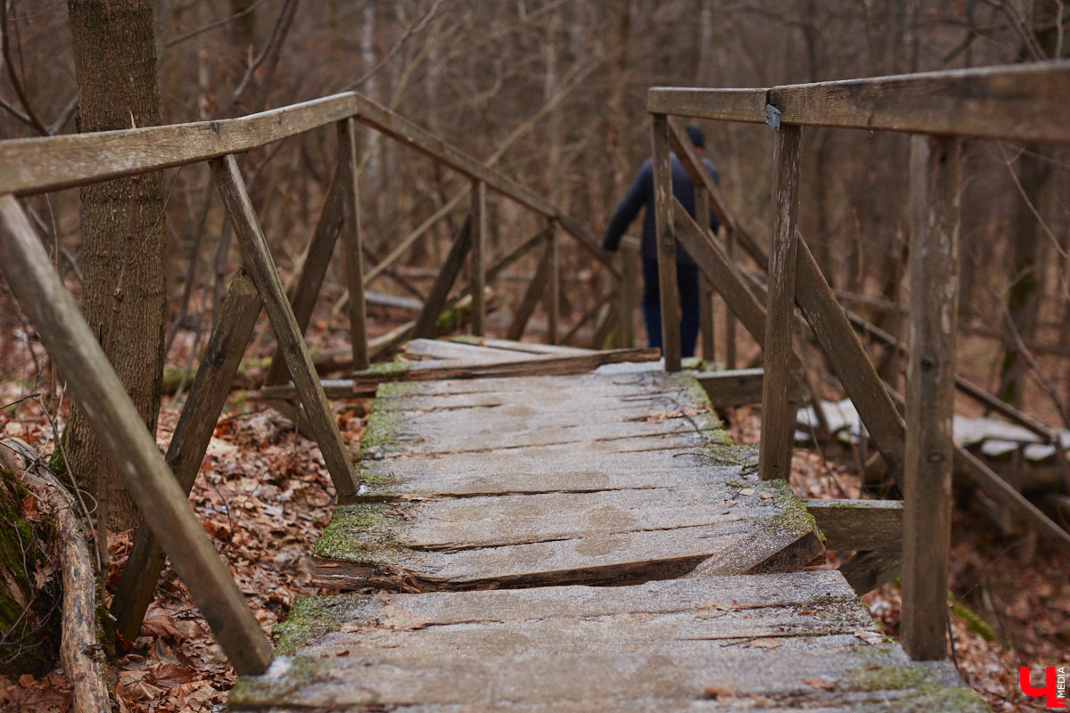 Во Владимире проверили качество воды в основных родниках, расположенных в черте областного центра. Выяснилось, что отклонения по некоторым показателям все же имеются. А значит, перед употреблением стоит задуматься, испить ли свежей водицы или лучше не рисковать?