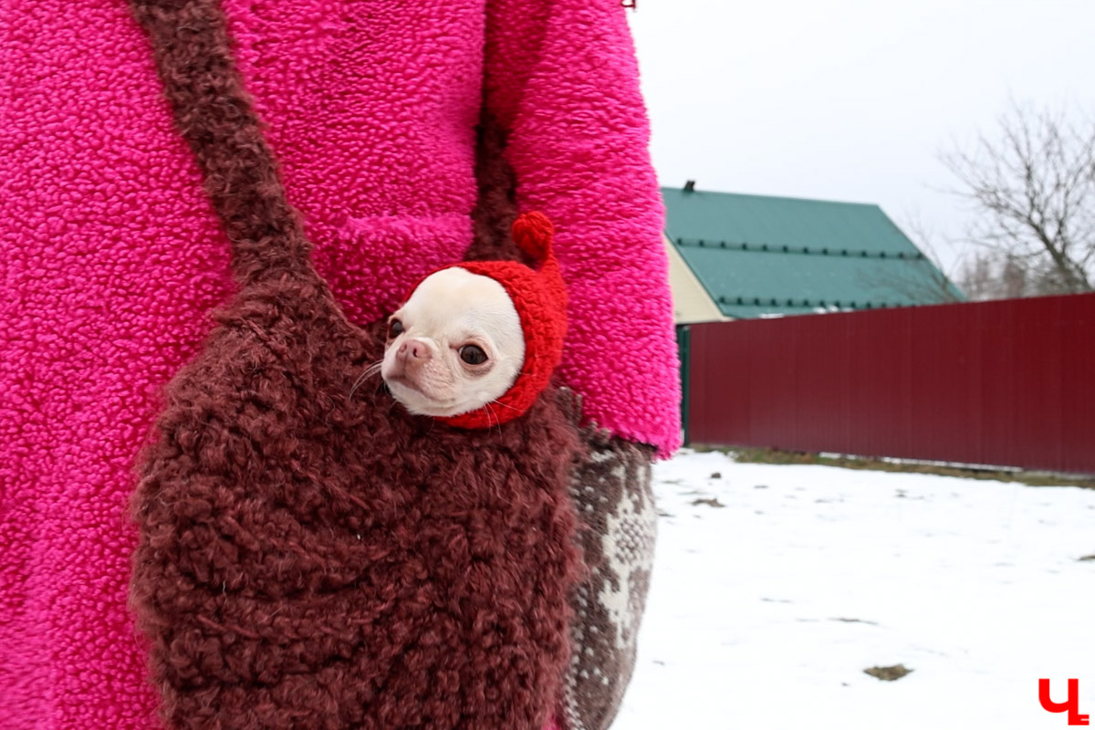 А вы знаете, что означают символы и узоры на старинных наличниках? Владимирский блогер Дарья Ермолина организовала краеведческий тур по Судогодскому краю, дабы расшифровать тайные символы резных окон. «Ключ-Медиа» побывал на премьерной экскурсии и готов поделиться впечатлениями!