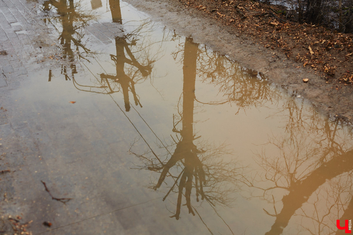Во Владимире продолжаются кронирование и вырубка деревьев. Новые пеньки появились на проспекте Ленина и в Левитановском сквере. На очереди Большая Нижегородская, Доброе и другие локации. Правда, здоровые липы, тополя и клены пилами не трогают. Под снос идут лишь аварийные стволы и сухостой. А чтобы жители не расстраивались, к маю областной центр украсят цветами.