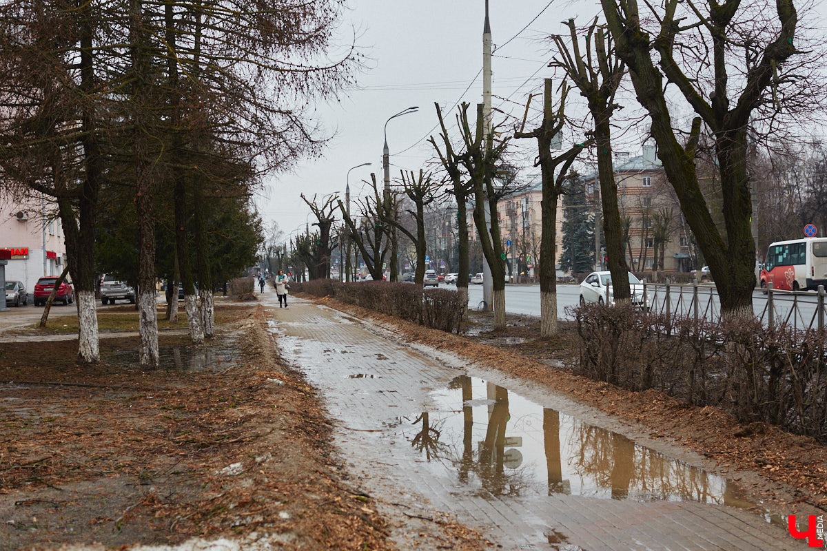 Во Владимире продолжаются кронирование и вырубка деревьев. Новые пеньки появились на проспекте Ленина и в Левитановском сквере. На очереди Большая Нижегородская, Доброе и другие локации. Правда, здоровые липы, тополя и клены пилами не трогают. Под снос идут лишь аварийные стволы и сухостой. А чтобы жители не расстраивались, к маю областной центр украсят цветами.