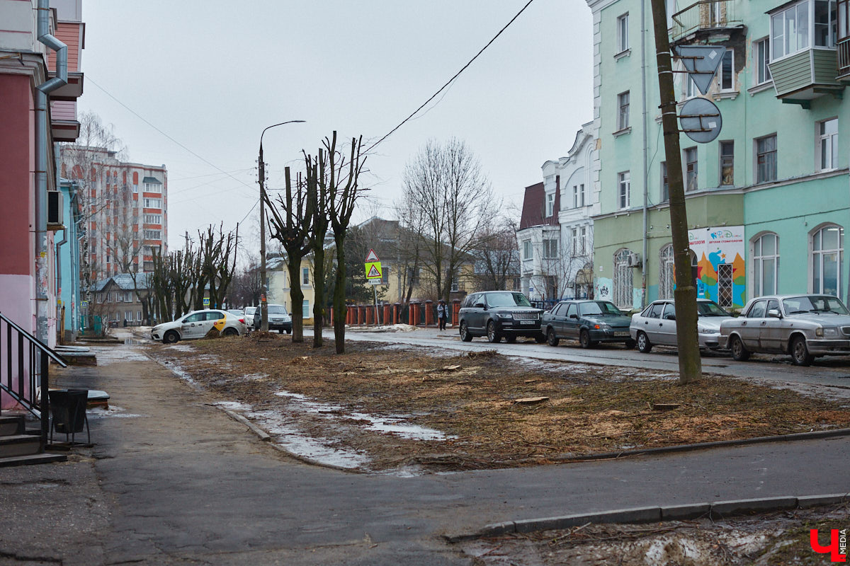 Во Владимире продолжаются кронирование и вырубка деревьев. Новые пеньки появились на проспекте Ленина и в Левитановском сквере. На очереди Большая Нижегородская, Доброе и другие локации. Правда, здоровые липы, тополя и клены пилами не трогают. Под снос идут лишь аварийные стволы и сухостой. А чтобы жители не расстраивались, к маю областной центр украсят цветами.