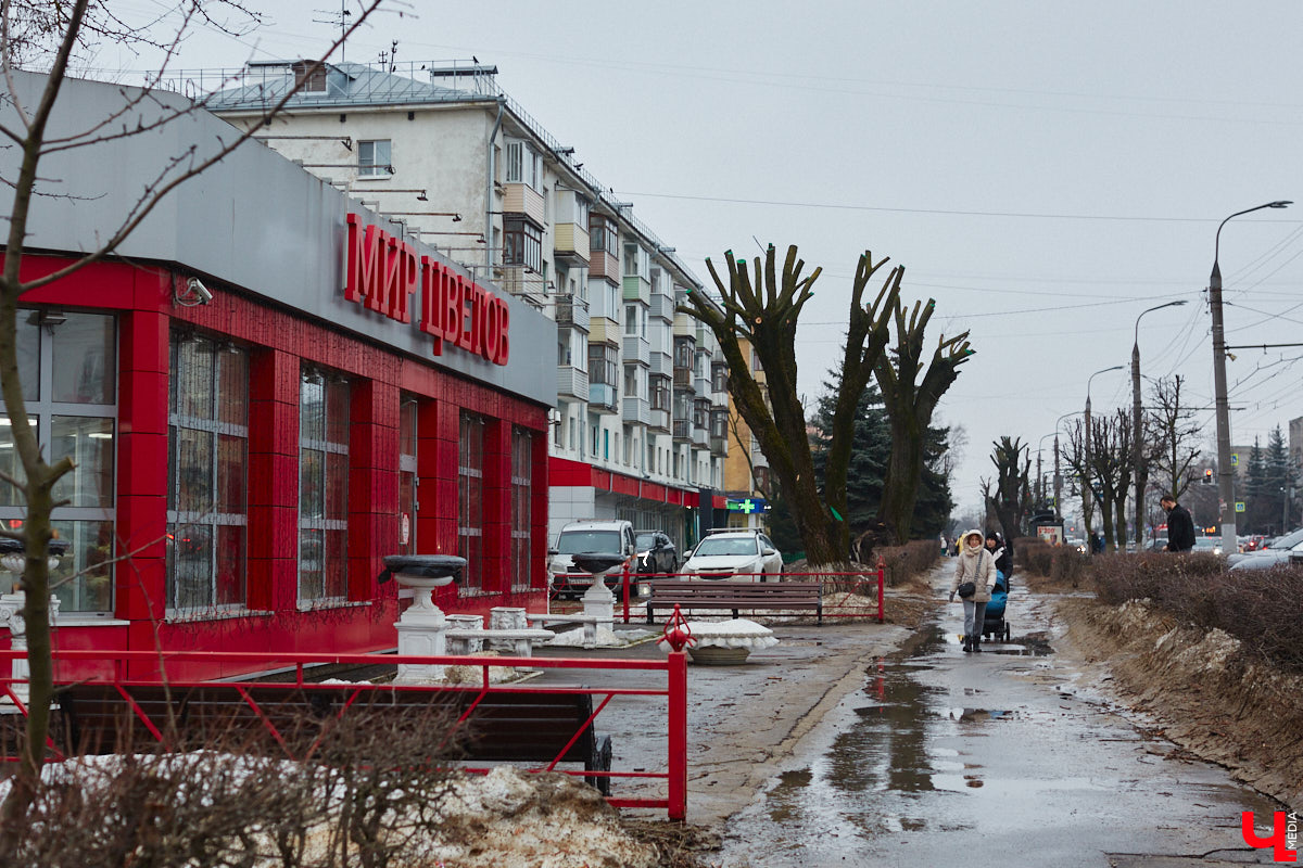 Во Владимире продолжаются кронирование и вырубка деревьев. Новые пеньки появились на проспекте Ленина и в Левитановском сквере. На очереди Большая Нижегородская, Доброе и другие локации. Правда, здоровые липы, тополя и клены пилами не трогают. Под снос идут лишь аварийные стволы и сухостой. А чтобы жители не расстраивались, к маю областной центр украсят цветами.