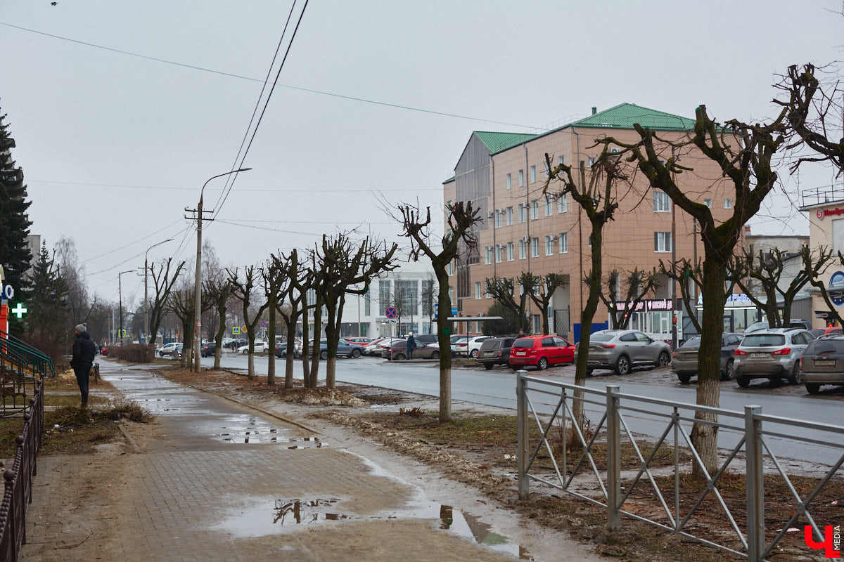 Во Владимире продолжаются кронирование и вырубка деревьев. Новые пеньки появились на проспекте Ленина и в Левитановском сквере. На очереди Большая Нижегородская, Доброе и другие локации. Правда, здоровые липы, тополя и клены пилами не трогают. Под снос идут лишь аварийные стволы и сухостой. А чтобы жители не расстраивались, к маю областной центр украсят цветами.