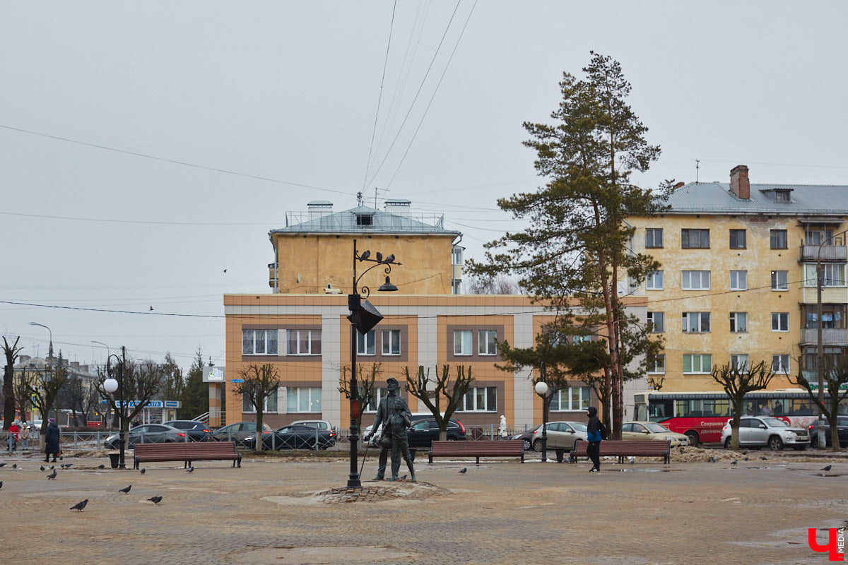 Во Владимире продолжаются кронирование и вырубка деревьев. Новые пеньки появились на проспекте Ленина и в Левитановском сквере. На очереди Большая Нижегородская, Доброе и другие локации. Правда, здоровые липы, тополя и клены пилами не трогают. Под снос идут лишь аварийные стволы и сухостой. А чтобы жители не расстраивались, к маю областной центр украсят цветами.
