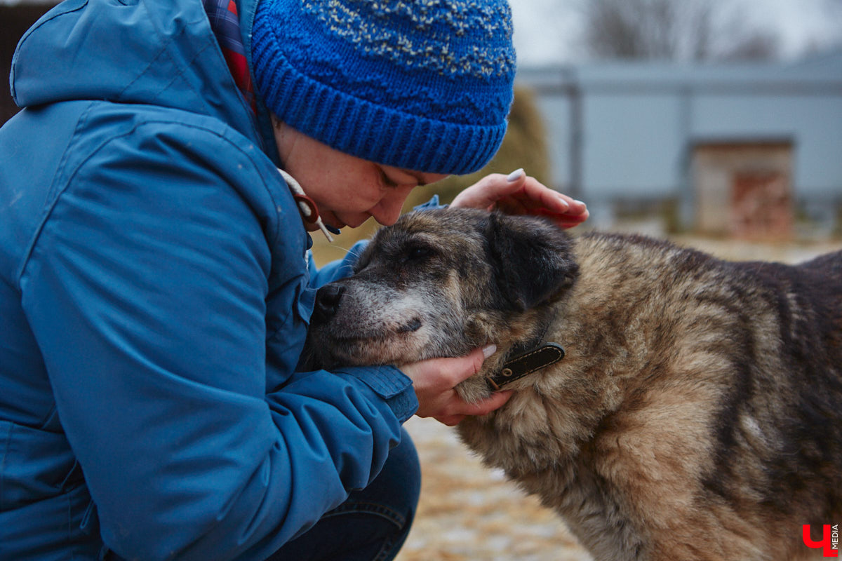 Юлия Буйницкая успевает не только владимирским приютом для животных «Дорога добра» руководить, но и создавать в регионе пет-френдли среду. Она неустанно генерирует идеи, воплощение которых требует немало затрат. Однако волонтера это не останавливает: планов на 2025 год у зоодома целый вагон!