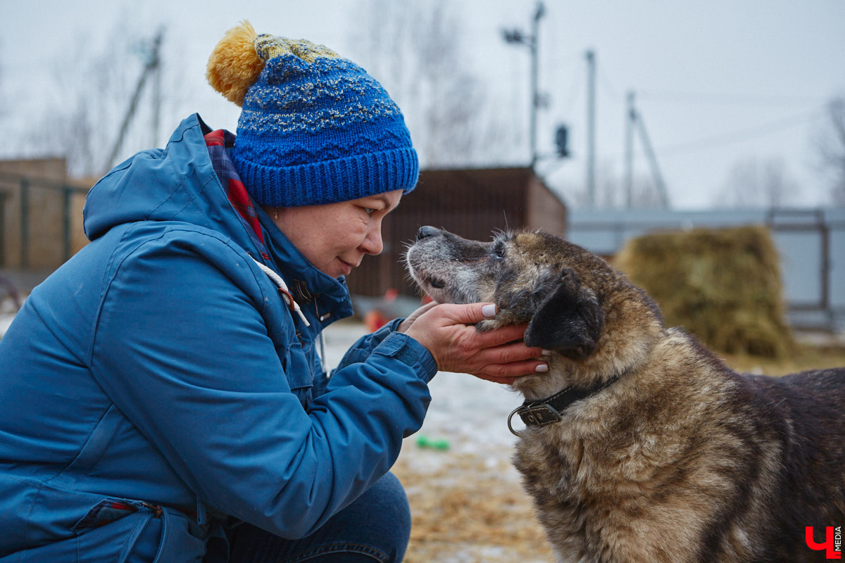 Юлия Буйницкая успевает не только владимирским приютом для животных «Дорога добра» руководить, но и создавать в регионе пет-френдли среду. Она неустанно генерирует идеи, воплощение которых требует немало затрат. Однако волонтера это не останавливает: планов на 2025 год у зоодома целый вагон!