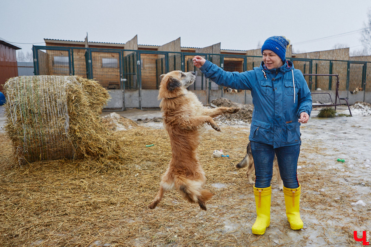 Юлия Буйницкая успевает не только владимирским приютом для животных «Дорога добра» руководить, но и создавать в регионе пет-френдли среду. Она неустанно генерирует идеи, воплощение которых требует немало затрат. Однако волонтера это не останавливает: планов на 2025 год у зоодома целый вагон!