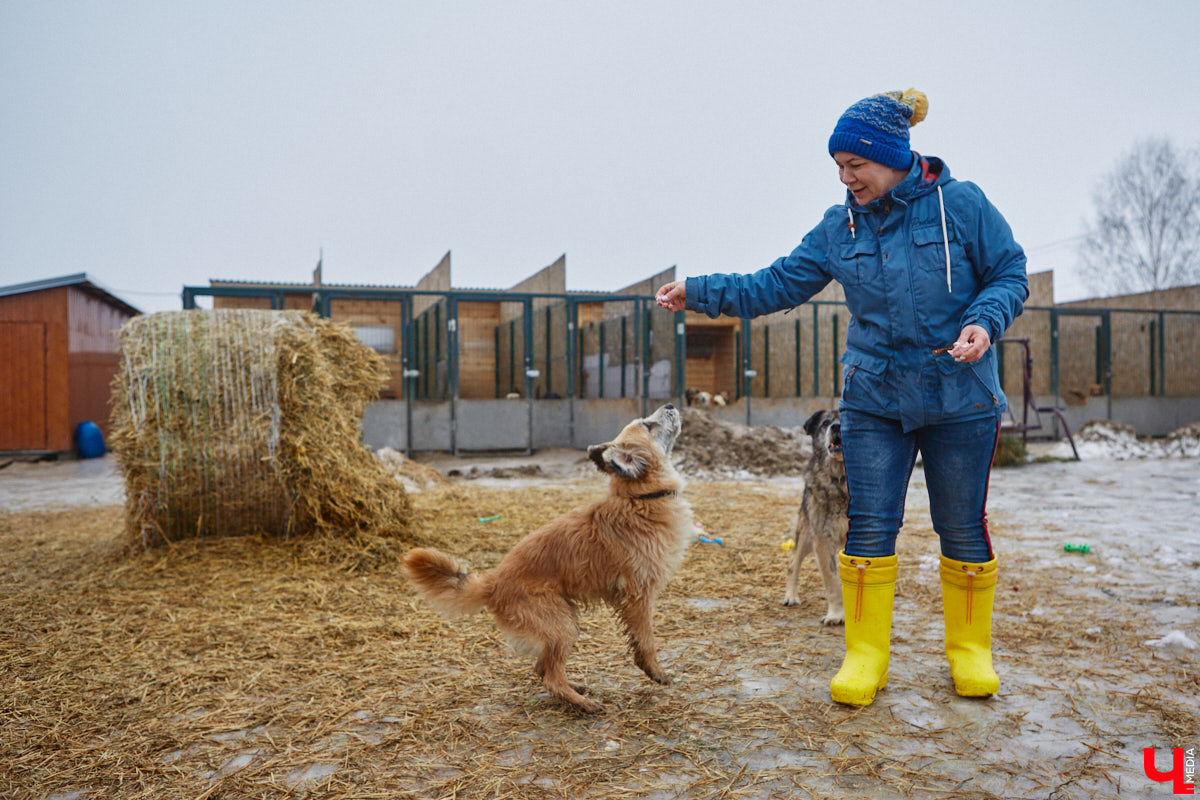Юлия Буйницкая успевает не только владимирским приютом для животных «Дорога добра» руководить, но и создавать в регионе пет-френдли среду. Она неустанно генерирует идеи, воплощение которых требует немало затрат. Однако волонтера это не останавливает: планов на 2025 год у зоодома целый вагон!