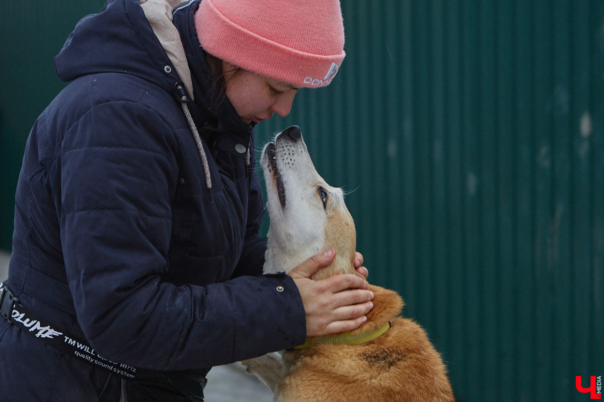 Юлия Буйницкая успевает не только владимирским приютом для животных «Дорога добра» руководить, но и создавать в регионе пет-френдли среду. Она неустанно генерирует идеи, воплощение которых требует немало затрат. Однако волонтера это не останавливает: планов на 2025 год у зоодома целый вагон!