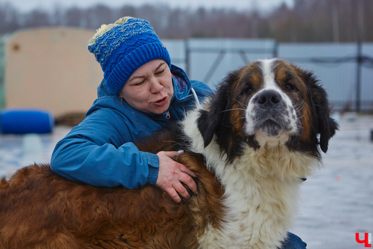 Юлия Буйницкая успевает не только владимирским приютом для животных «Дорога добра» руководить, но и создавать в регионе пет-френдли среду. Она неустанно генерирует идеи, воплощение которых требует немало затрат. Однако волонтера это не останавливает: планов на 2025 год у зоодома целый вагон!