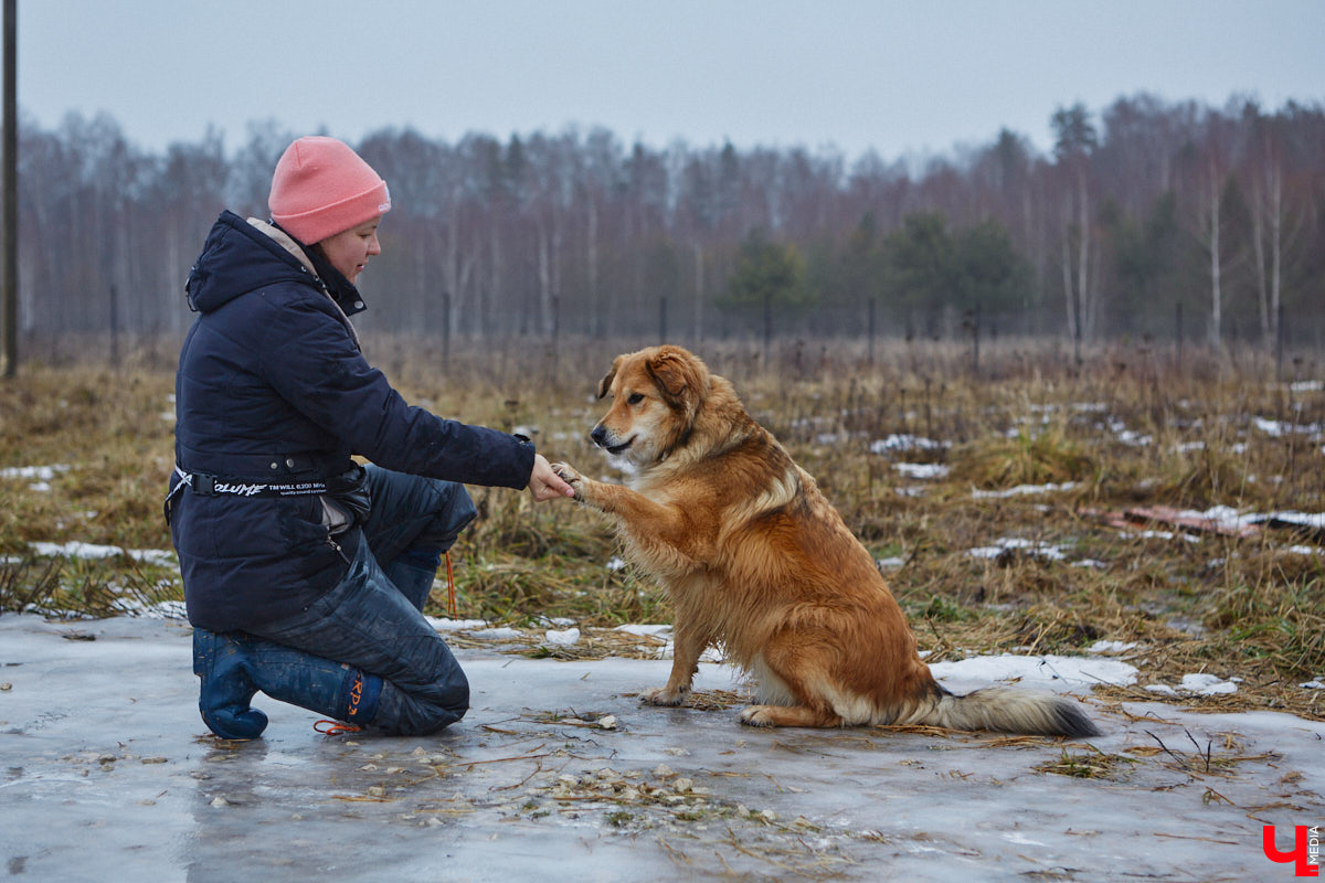 Юлия Буйницкая успевает не только владимирским приютом для животных «Дорога добра» руководить, но и создавать в регионе пет-френдли среду. Она неустанно генерирует идеи, воплощение которых требует немало затрат. Однако волонтера это не останавливает: планов на 2025 год у зоодома целый вагон!