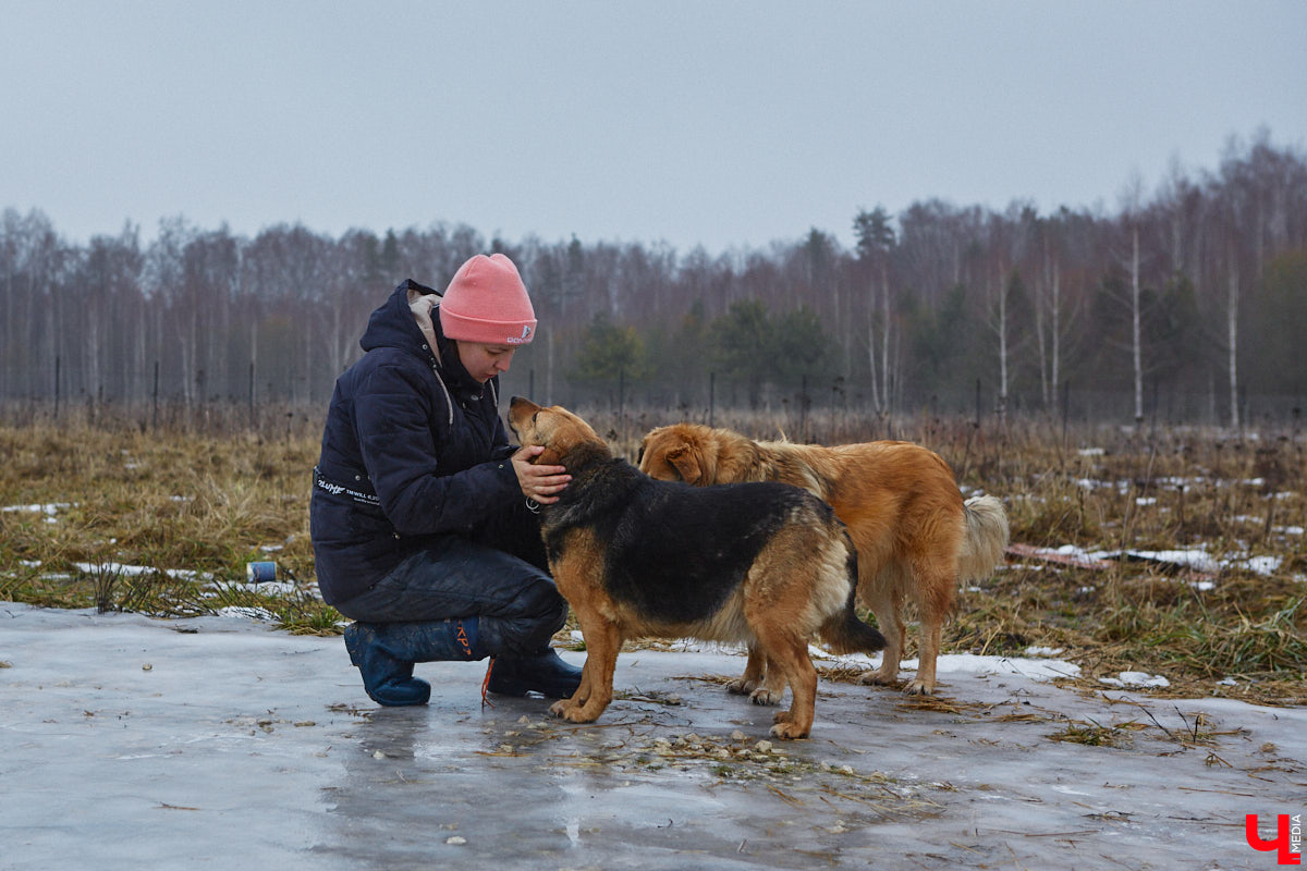 Юлия Буйницкая успевает не только владимирским приютом для животных «Дорога добра» руководить, но и создавать в регионе пет-френдли среду. Она неустанно генерирует идеи, воплощение которых требует немало затрат. Однако волонтера это не останавливает: планов на 2025 год у зоодома целый вагон!