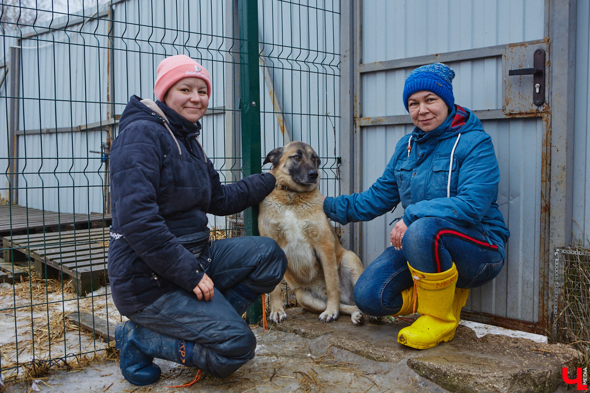 Юлия Буйницкая успевает не только владимирским приютом для животных «Дорога добра» руководить, но и создавать в регионе пет-френдли среду. Она неустанно генерирует идеи, воплощение которых требует немало затрат. Однако волонтера это не останавливает: планов на 2025 год у зоодома целый вагон!