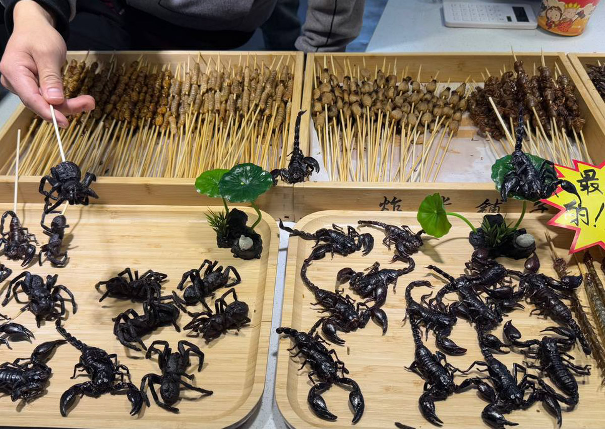 Китай умеет удивлять! Там легко почувствовать себя как на другой планете с его любопытным мироустройством. А еще он разный. Реставратор из Владимирской области Анна Фоминых недавно вернулась из КНР, где невольно сравнила такие разные по характеру Пекин и Шанхай.