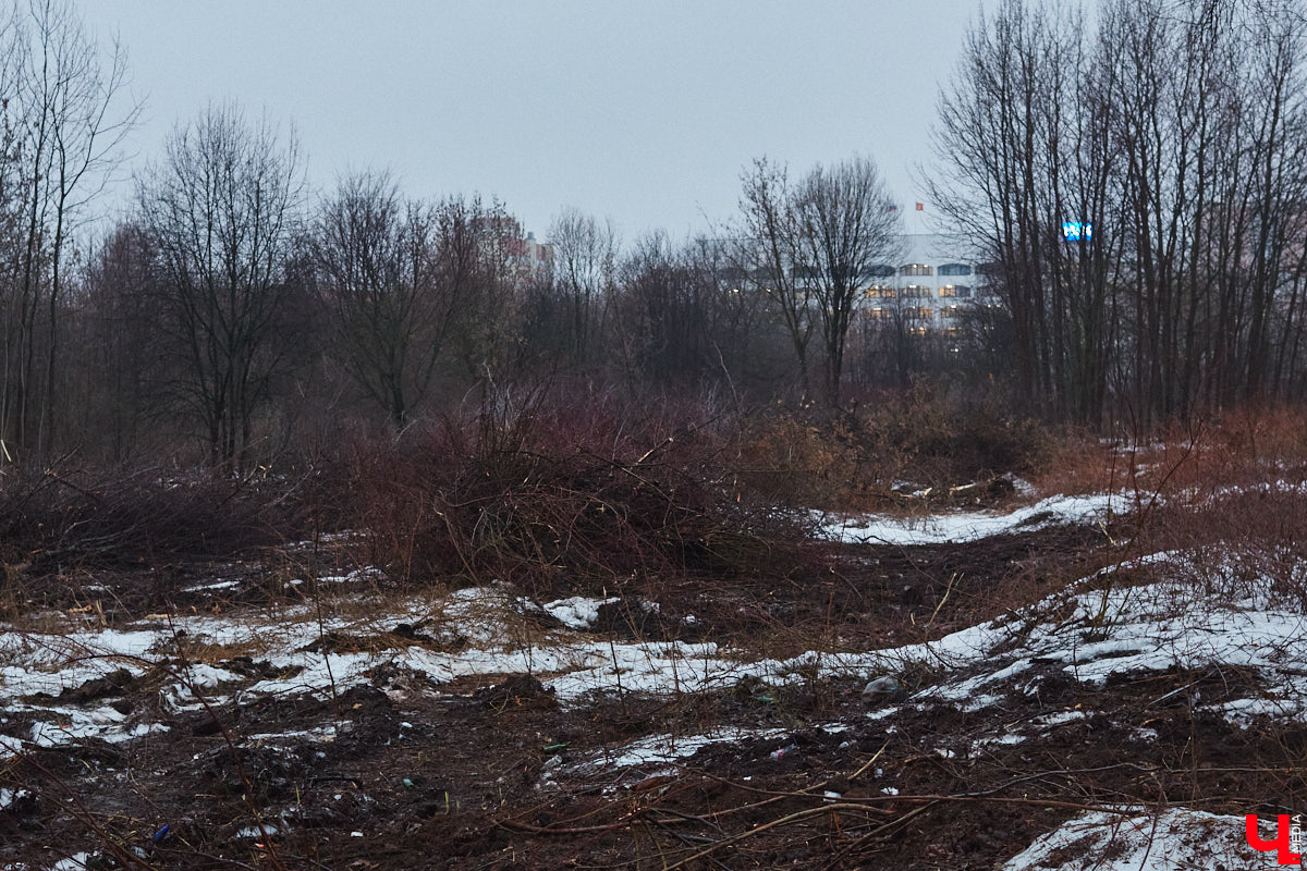 Во Владимире обсудили благоустройство Старых садов на улице Мира около ДДюТ. Особенно остро стоит проблема вырубки деревьев. И пока вопросов немало. Один из главных — как сохранить зеленые насаждения на территории парка и укрепить береговые линии местных прудов?