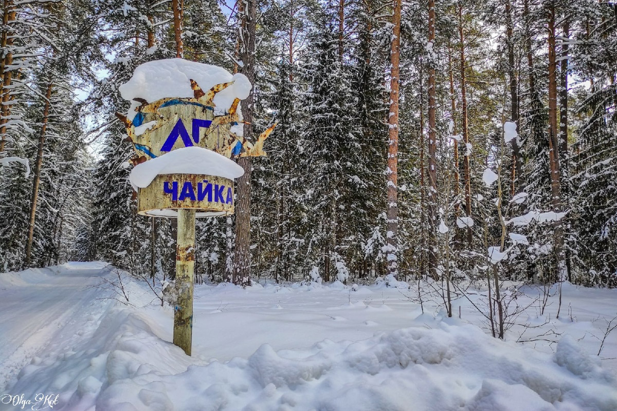 У пионерлагеря «Чайка» в Собинском районе, некогда принадлежащего «Автоприбору», появился шанс на возрождение: есть вероятность, что его купили и собираются восстановить. Отрадно! Тем более, как рассказала «Ключ-Медиа» путешественница Ольга Кот, сохранилась локация на удивление сносно!