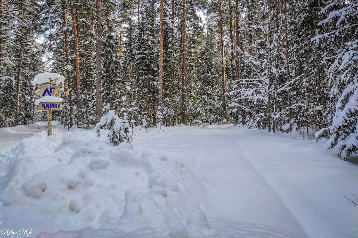 У пионерлагеря «Чайка» в Собинском районе, некогда принадлежащего «Автоприбору», появился шанс на возрождение: есть вероятность, что его купили и собираются восстановить. Отрадно! Тем более, как рассказала «Ключ-Медиа» путешественница Ольга Кот, сохранилась локация на удивление сносно!