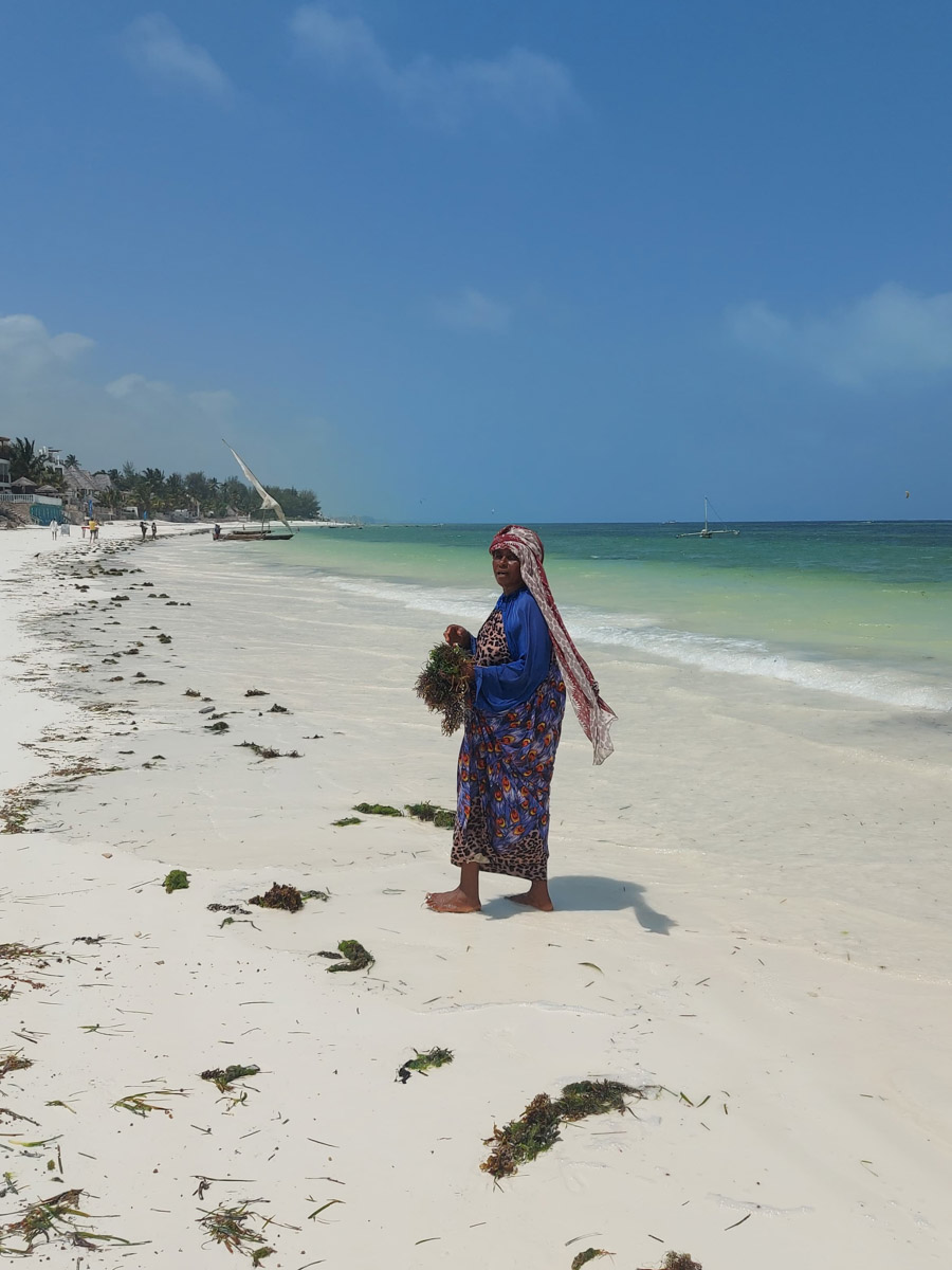 До поездки на Занзибар о таинственной точке на глобусе Наталья Клипова знала только из книги про «Доктора Айболита». Но спустя 24 часа пути из Вязников до восточного побережья Африки туристка навсегда влюбилась в лазурные волны и чистейшие песчаные пляжи. Однако красота природы резко контрастировала с весьма скромным бытом местного населения, которое, несмотря ни на что, не унывает и никуда не спешит.