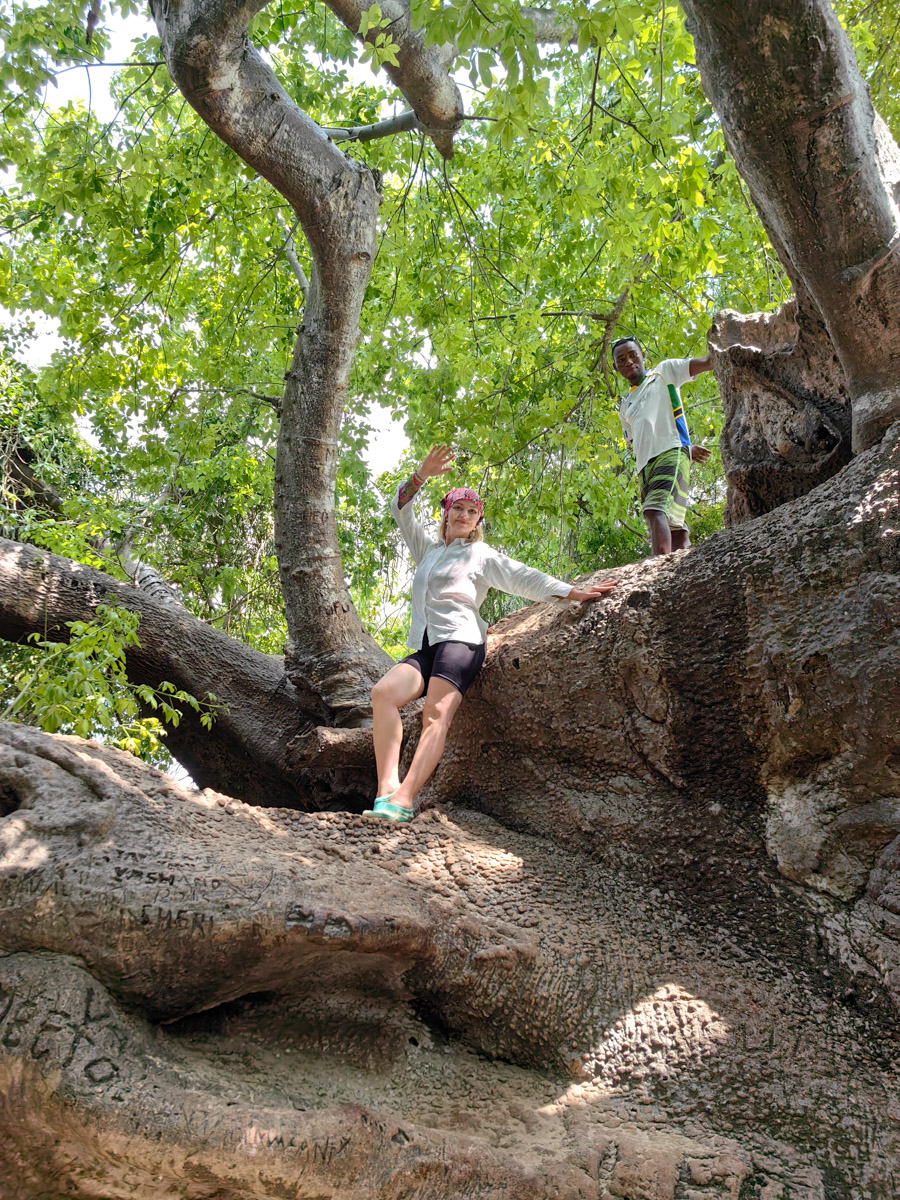 До поездки на Занзибар о таинственной точке на глобусе Наталья Клипова знала только из книги про «Доктора Айболита». Но спустя 24 часа пути из Вязников до восточного побережья Африки туристка навсегда влюбилась в лазурные волны и чистейшие песчаные пляжи. Однако красота природы резко контрастировала с весьма скромным бытом местного населения, которое, несмотря ни на что, не унывает и никуда не спешит.
