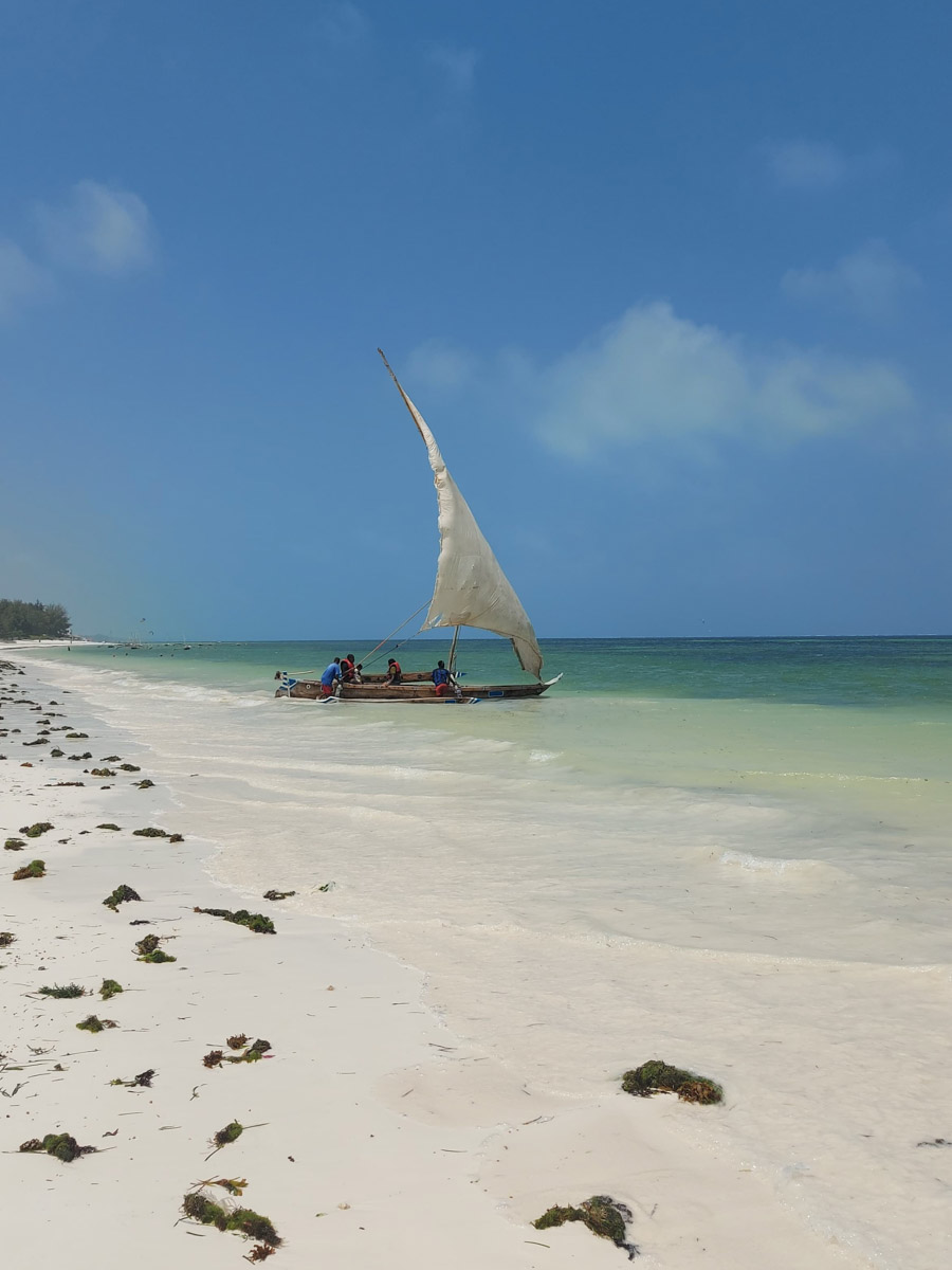 До поездки на Занзибар о таинственной точке на глобусе Наталья Клипова знала только из книги про «Доктора Айболита». Но спустя 24 часа пути из Вязников до восточного побережья Африки туристка навсегда влюбилась в лазурные волны и чистейшие песчаные пляжи. Однако красота природы резко контрастировала с весьма скромным бытом местного населения, которое, несмотря ни на что, не унывает и никуда не спешит.