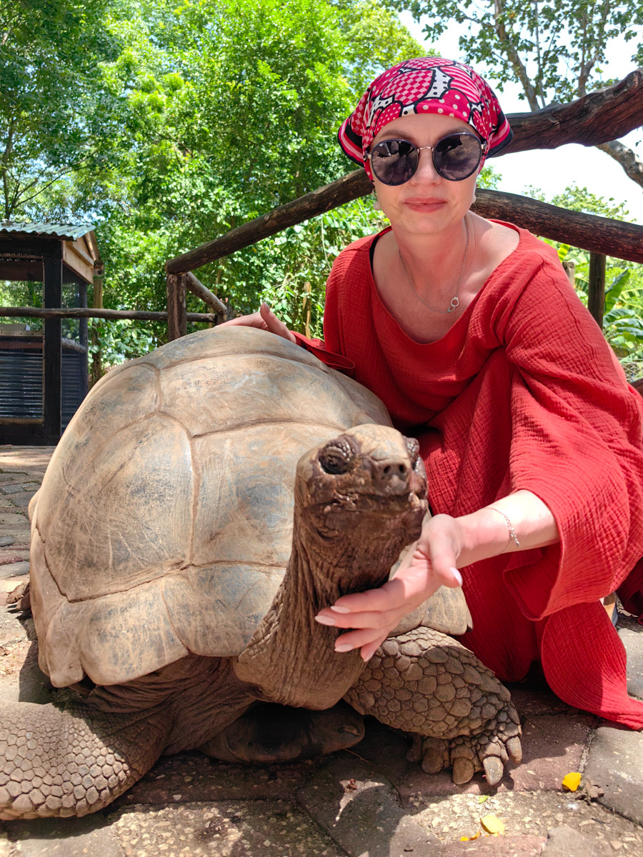 До поездки на Занзибар о таинственной точке на глобусе Наталья Клипова знала только из книги про «Доктора Айболита». Но спустя 24 часа пути из Вязников до восточного побережья Африки туристка навсегда влюбилась в лазурные волны и чистейшие песчаные пляжи. Однако красота природы резко контрастировала с весьма скромным бытом местного населения, которое, несмотря ни на что, не унывает и никуда не спешит.