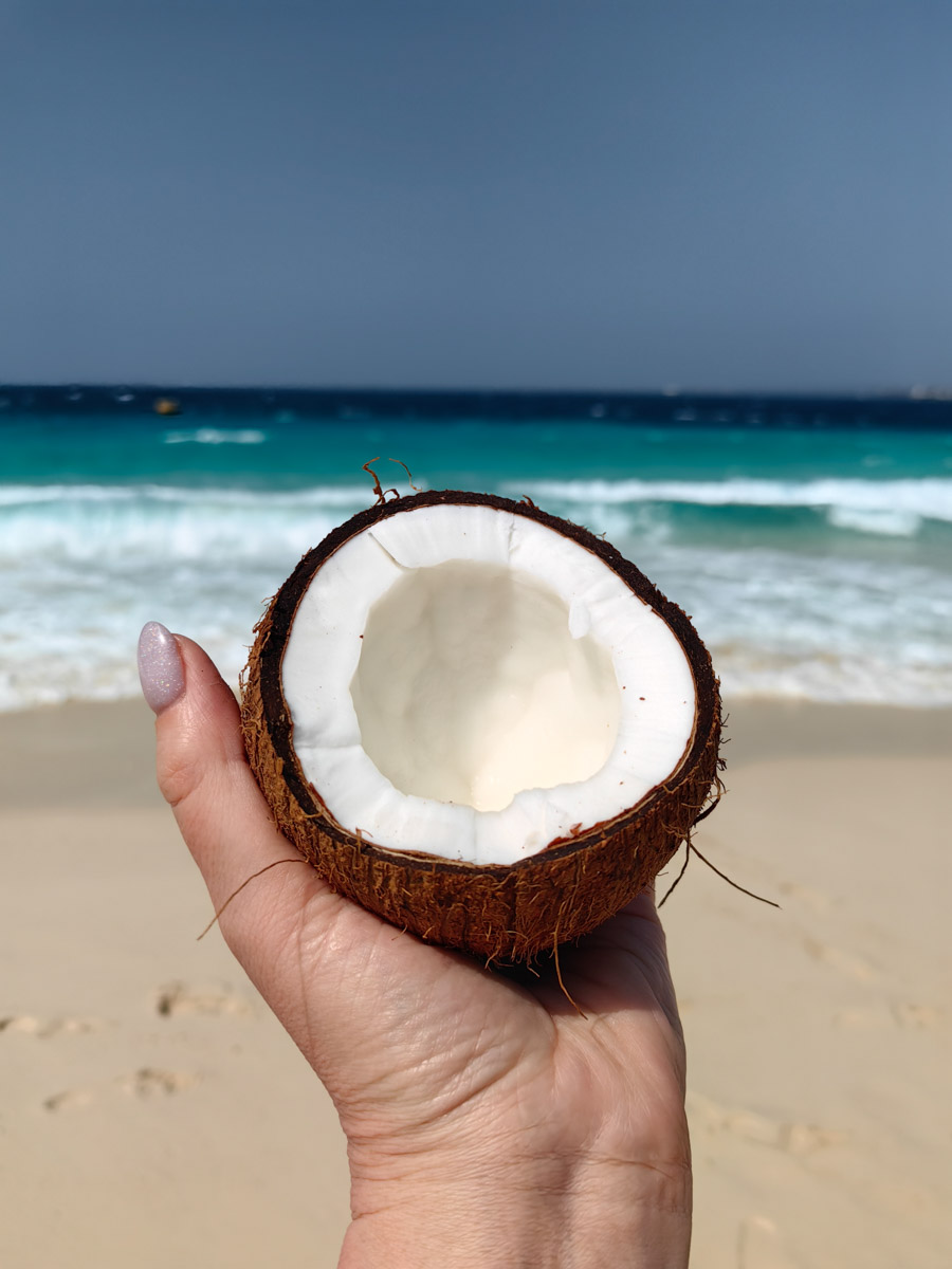 До поездки на Занзибар о таинственной точке на глобусе Наталья Клипова знала только из книги про «Доктора Айболита». Но спустя 24 часа пути из Вязников до восточного побережья Африки туристка навсегда влюбилась в лазурные волны и чистейшие песчаные пляжи. Однако красота природы резко контрастировала с весьма скромным бытом местного населения, которое, несмотря ни на что, не унывает и никуда не спешит.