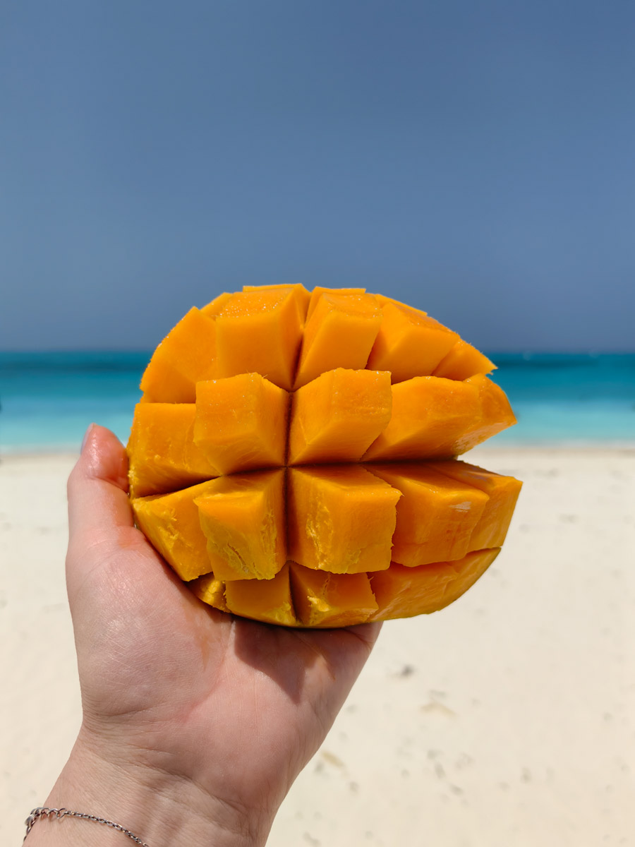 До поездки на Занзибар о таинственной точке на глобусе Наталья Клипова знала только из книги про «Доктора Айболита». Но спустя 24 часа пути из Вязников до восточного побережья Африки туристка навсегда влюбилась в лазурные волны и чистейшие песчаные пляжи. Однако красота природы резко контрастировала с весьма скромным бытом местного населения, которое, несмотря ни на что, не унывает и никуда не спешит.