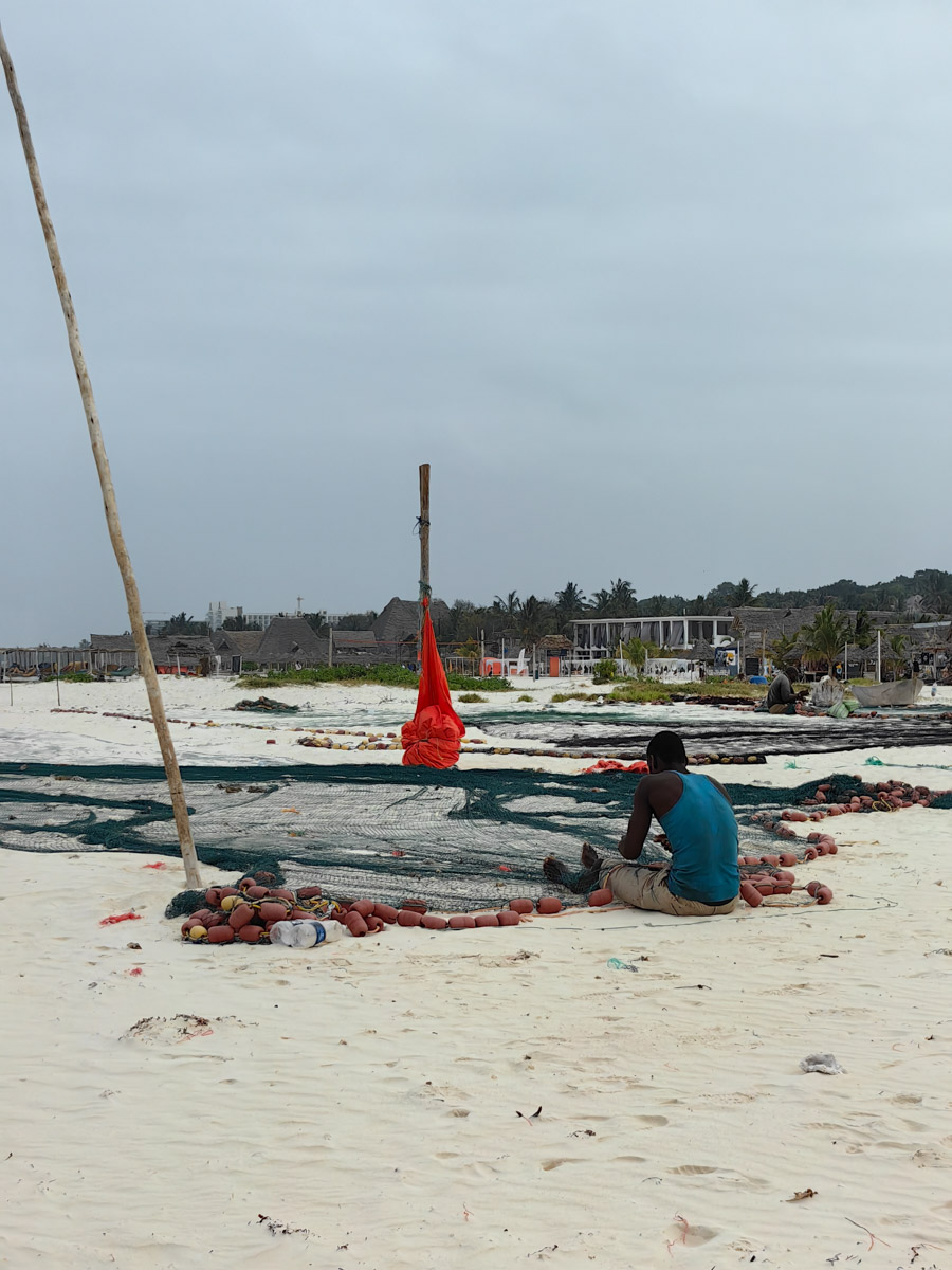 До поездки на Занзибар о таинственной точке на глобусе Наталья Клипова знала только из книги про «Доктора Айболита». Но спустя 24 часа пути из Вязников до восточного побережья Африки туристка навсегда влюбилась в лазурные волны и чистейшие песчаные пляжи. Однако красота природы резко контрастировала с весьма скромным бытом местного населения, которое, несмотря ни на что, не унывает и никуда не спешит.